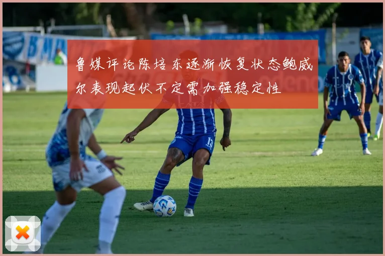 鲁媒评论陈培东逐渐恢复状态鲍威尔表现起伏不定需加强稳定性