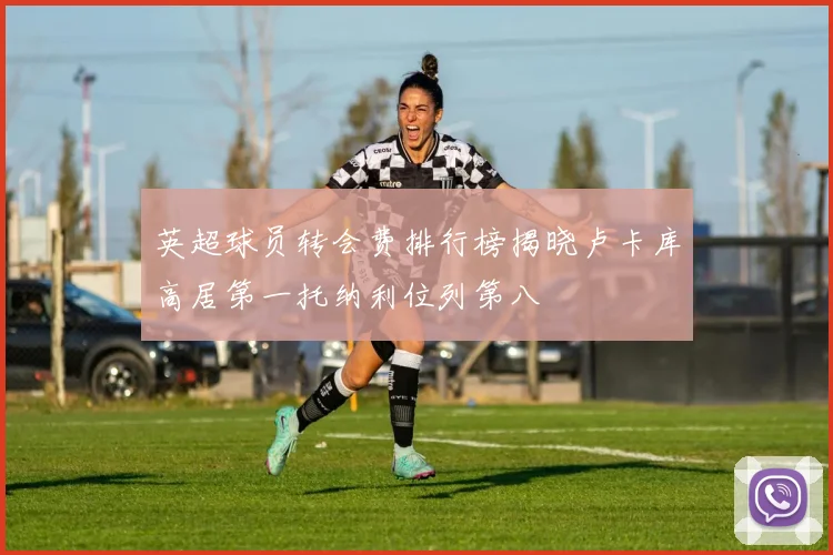 英超球员转会费排行榜揭晓卢卡库高居第一托纳利位列第八